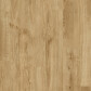 Oasis Wide - Husk Oak