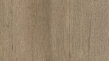 Native Silvered Beech